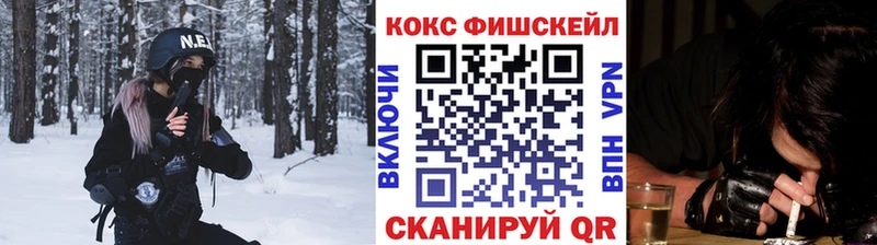 Кокаин FishScale  Купить где  Ленинск-Кузнецкий 