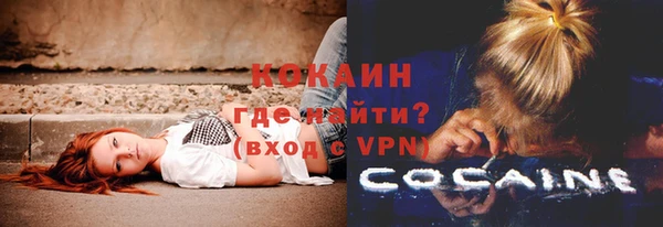 твердый Медногорск
