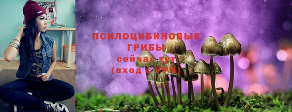 прущие крисы Мегион